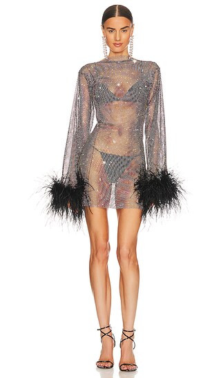 Black Feathers Dress in Black | Revolve Clothing (Global)