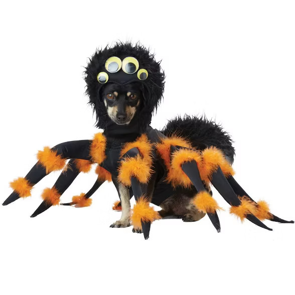 California Costumes Spider Pup Pet Costume | Target