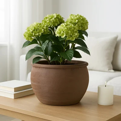 Hooge Traditional Pot Planter | Wayfair North America
