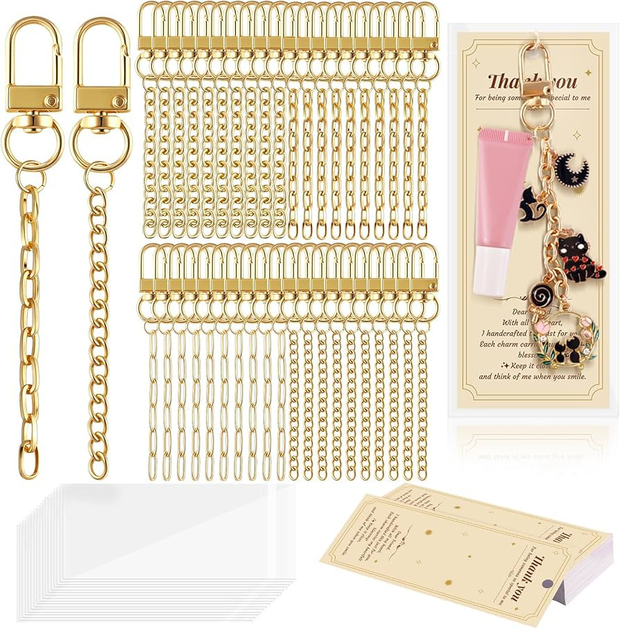 Wurosi 52 Set Lip Gloss Keychain Making Kit, Gold Keychain Clips Hooks with Extender Chain, Gift ... | Amazon (US)