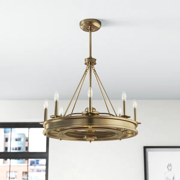 Taylorsville 14'' Ceiling Fan with Light Kit | Wayfair North America