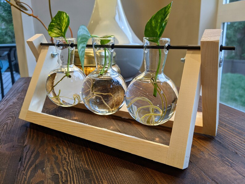Glass Propagation Station With Wood Stand  Multiple Sizes | Etsy | Etsy (US)