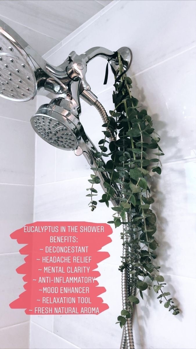 🍃🪴✨

#LTKHome #LTKselfcare #LTKU