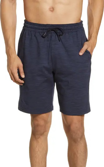 Pyrite Knit Shorts | Nordstrom