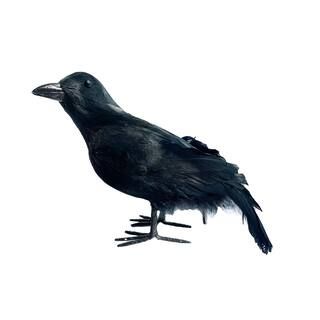 7.5" Black Iridescent Right Crow by Ashland® | Michaels Stores