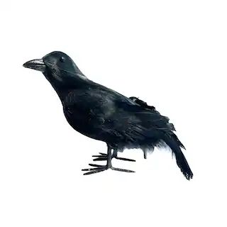 7.5" Black Iridescent Right Crow by Ashland® | Michaels | Michaels Stores