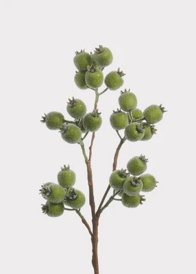 Iced Green Artificial Holiday Berry Pod Branch - 21" | Afloral