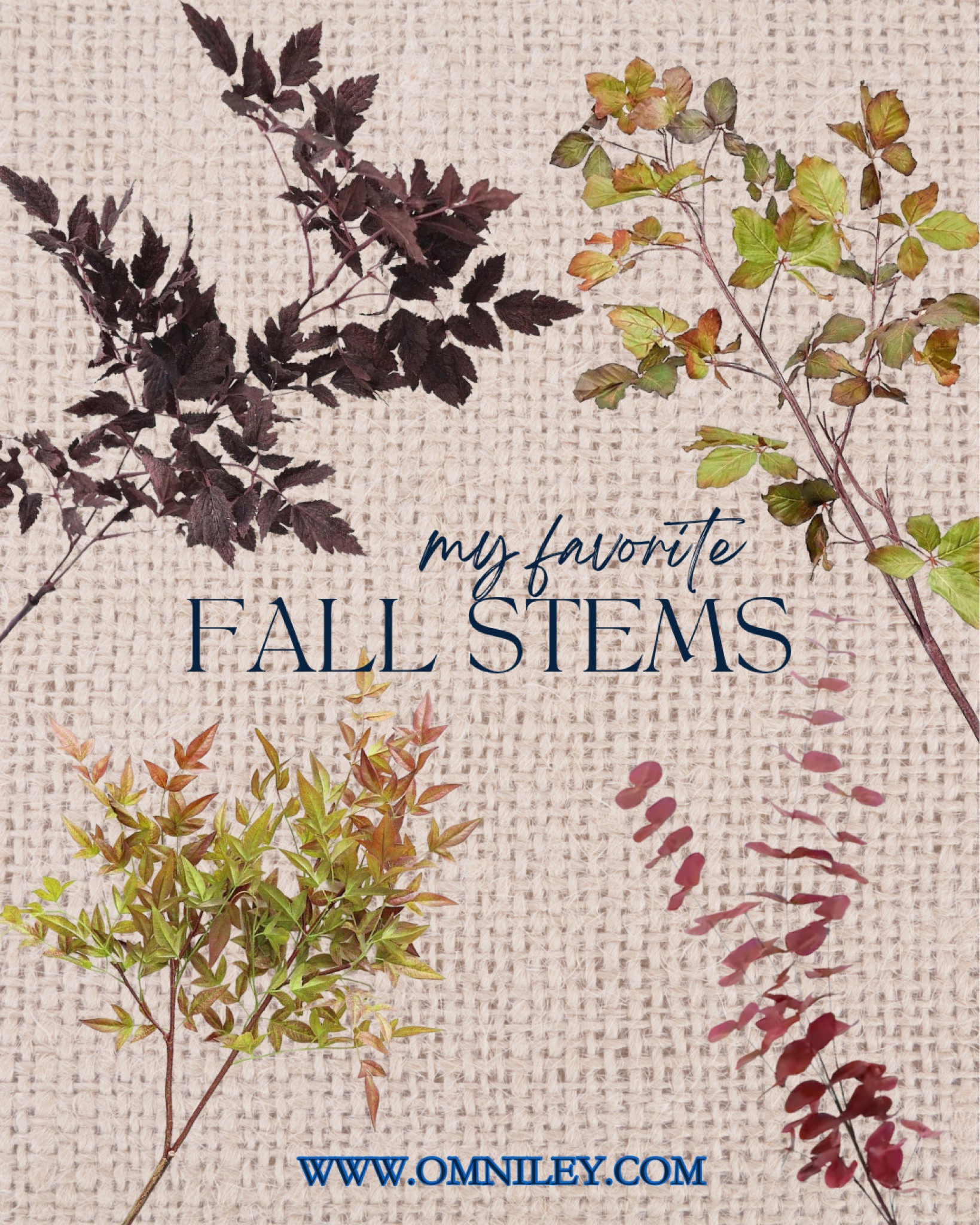 These fall stems being great color to any space #falldecor 

#LTKSeasonal #LTKhome #LTKfindsunder50