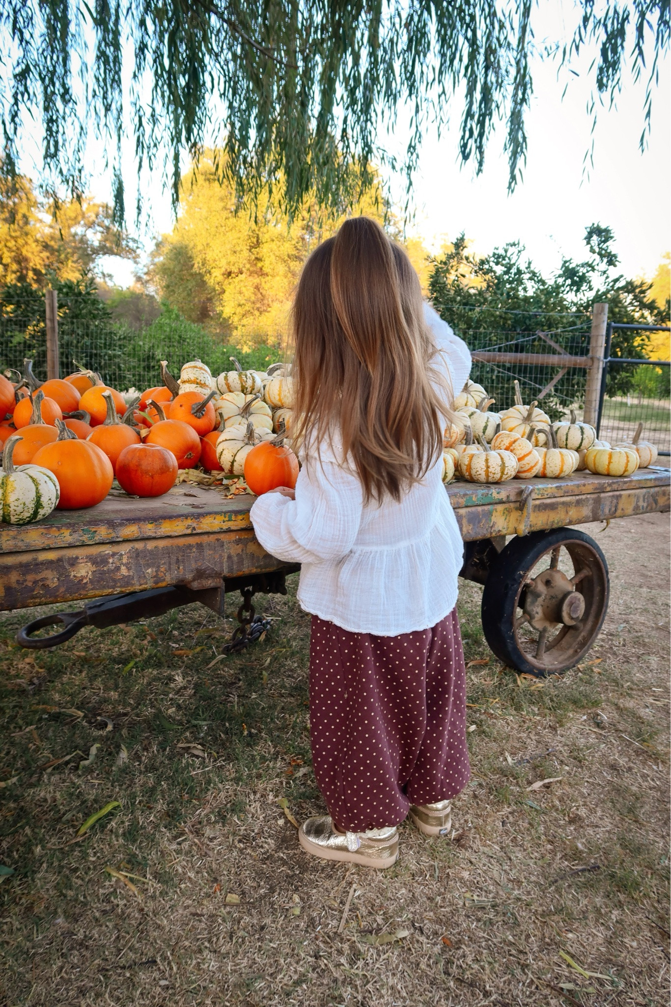 Toddler girl outfit
Toddler girl Zara style
Zara kids
See Kai run shoes
Toddler shoes
Mary Jane shoes