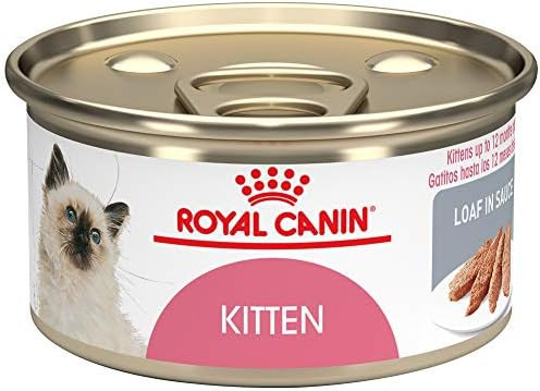 Royal Canin Feline Health Nutrition Kitten Loaf in Sauce Canned Cat Food, 3 Ounce Can (Pack of 24... | Amazon (US)