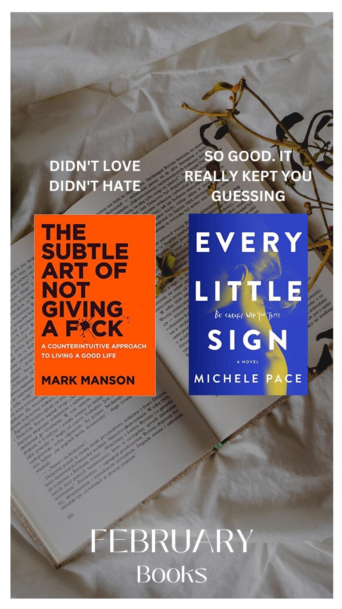 February books! #books #bookrecs #booknerd #amazonbooks

#LTKsalealert #LTKunder50