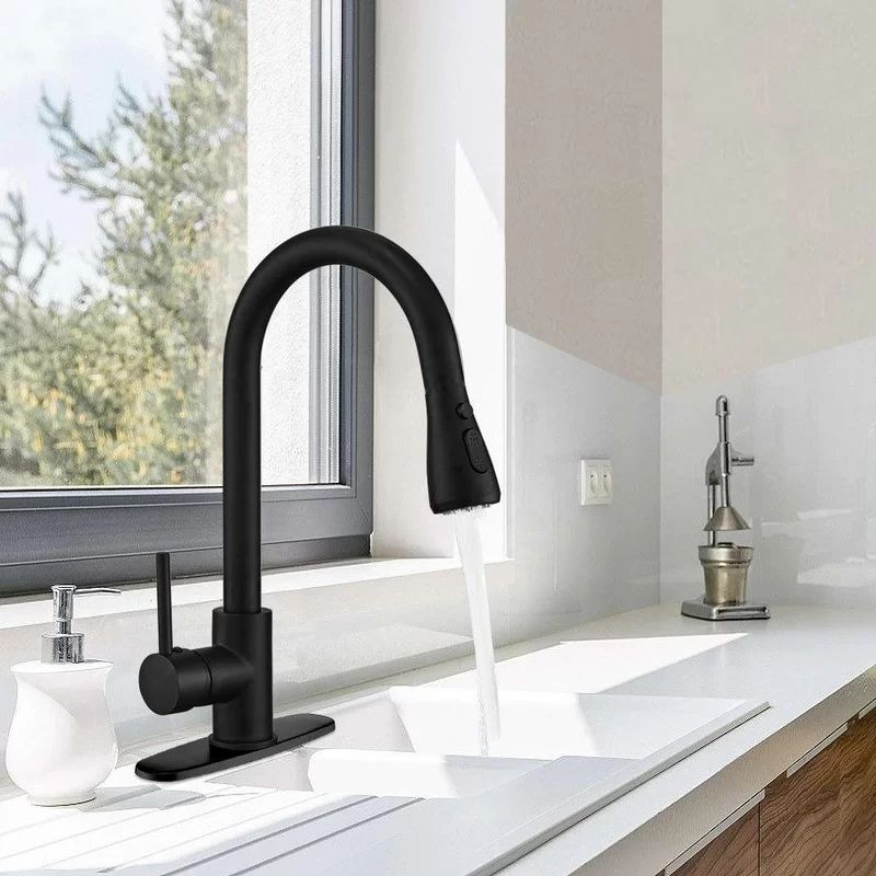 RN2056-ORB Pull Down Single Handle Kitchen Faucet with Side Spray | Wayfair North America