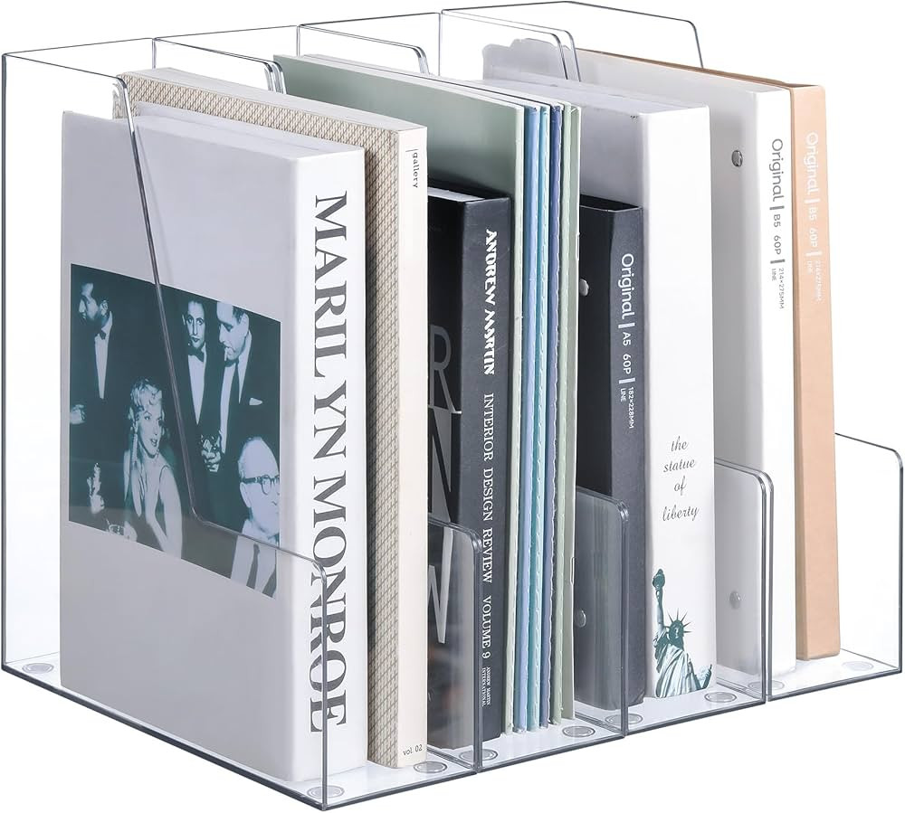 Vertical Magazine File Holder, Clear File Organizer Desk Organizer and Storage Bins Holding for M... | Amazon (US)