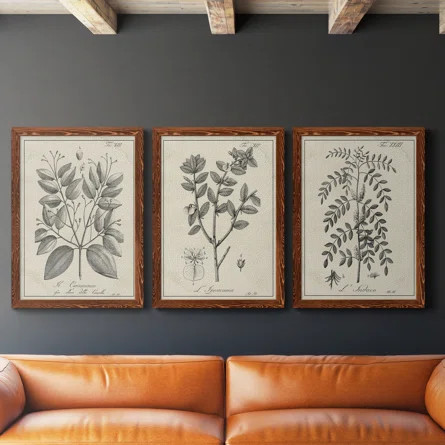 Antique Black And White Botanical VII Framed On Canvas 3 Pieces Illustration | Wayfair North America