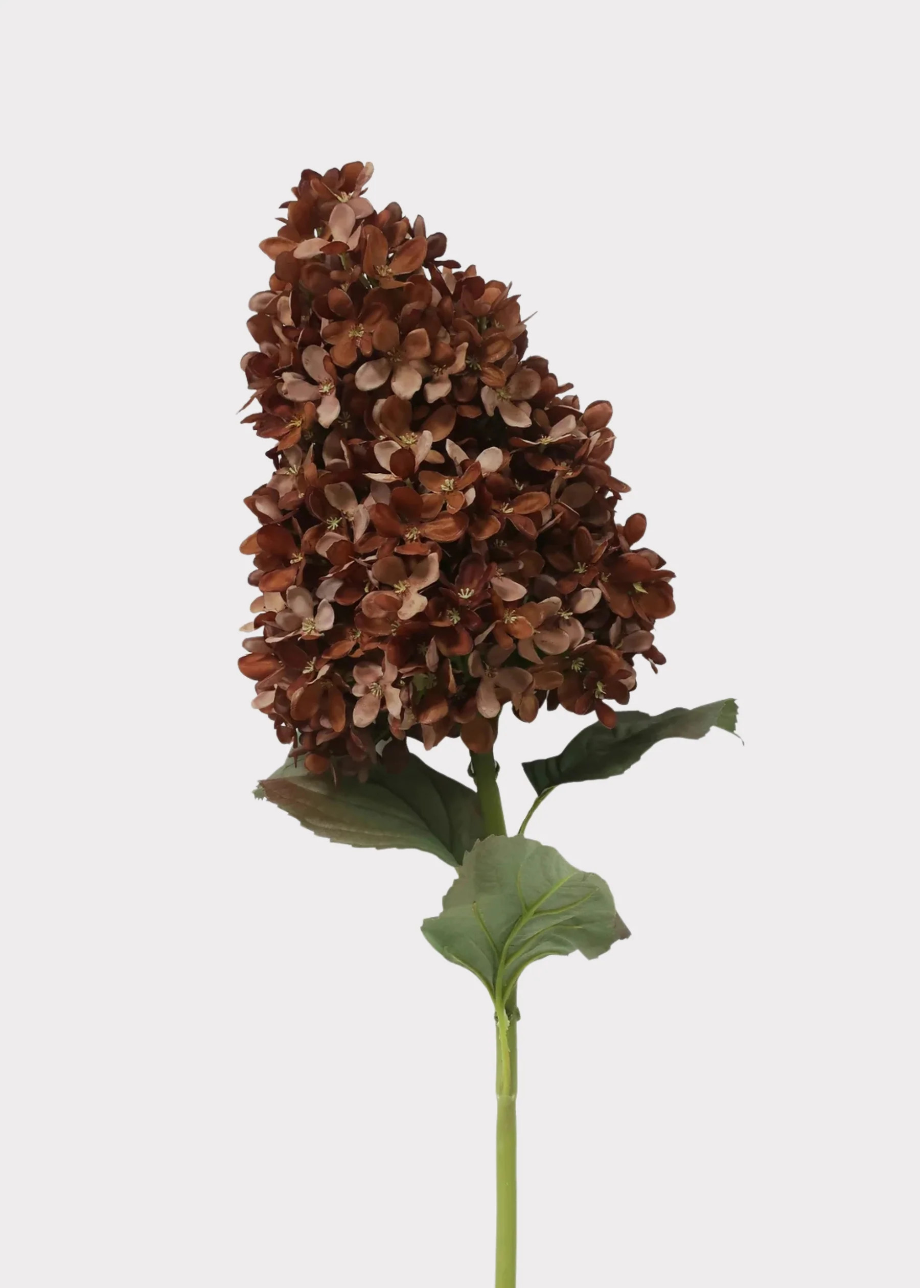 Fake Flowers Dried Look Hydrangea in Brown - 23" | Afloral