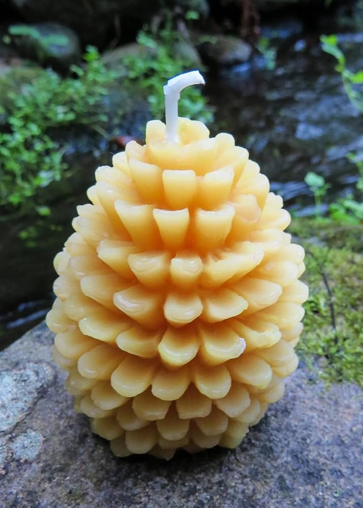 Pinecone Beeswax Candles BULK / 100% All Natural Beeswax/Natural Pine Cone Design/Forest/Pine Tre... | Amazon (US)