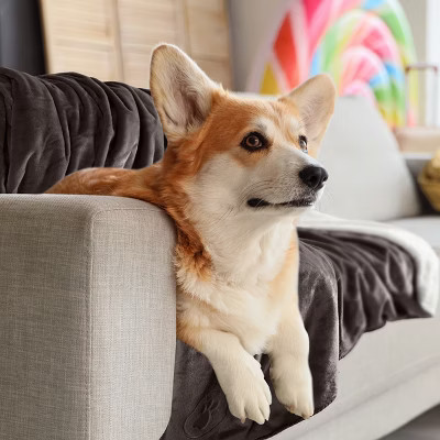 PETMAKER Water-Resistant Dog Blanket, Charcoal | Target