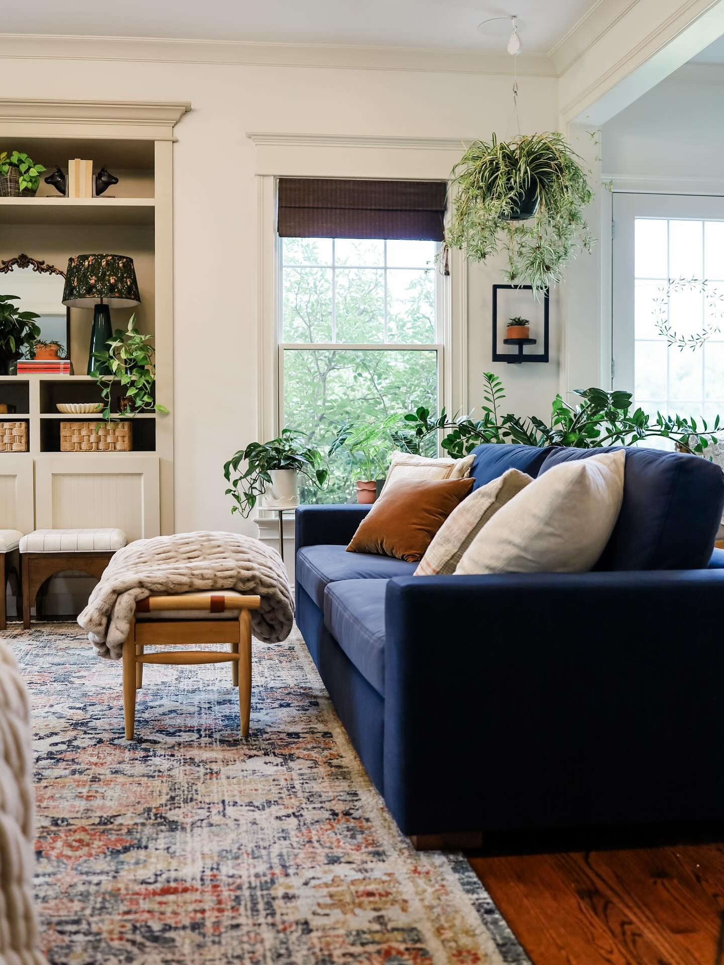 The best part of my plant-filled family room (aside from the plants ofc!) is the sofa and chairs from @albanyparkhome . We’ve had these for a little bit now and we are loving not just the look and style, but the function and comfort too! Both the velvet sofa and boucle chairs have removable, cleanable covers. 

#houseplants #houseplantlove #houseplantsmakemehappy #houseplantaddict #houseplantlover #houseplanthome #houseplantdesign #planter #plantfilledhome #plantdecorideas #plantlover #plantlife #plantmom #plantparenthood #plantsmakepeoplehappy #plantsmakemehappy #plantstyling