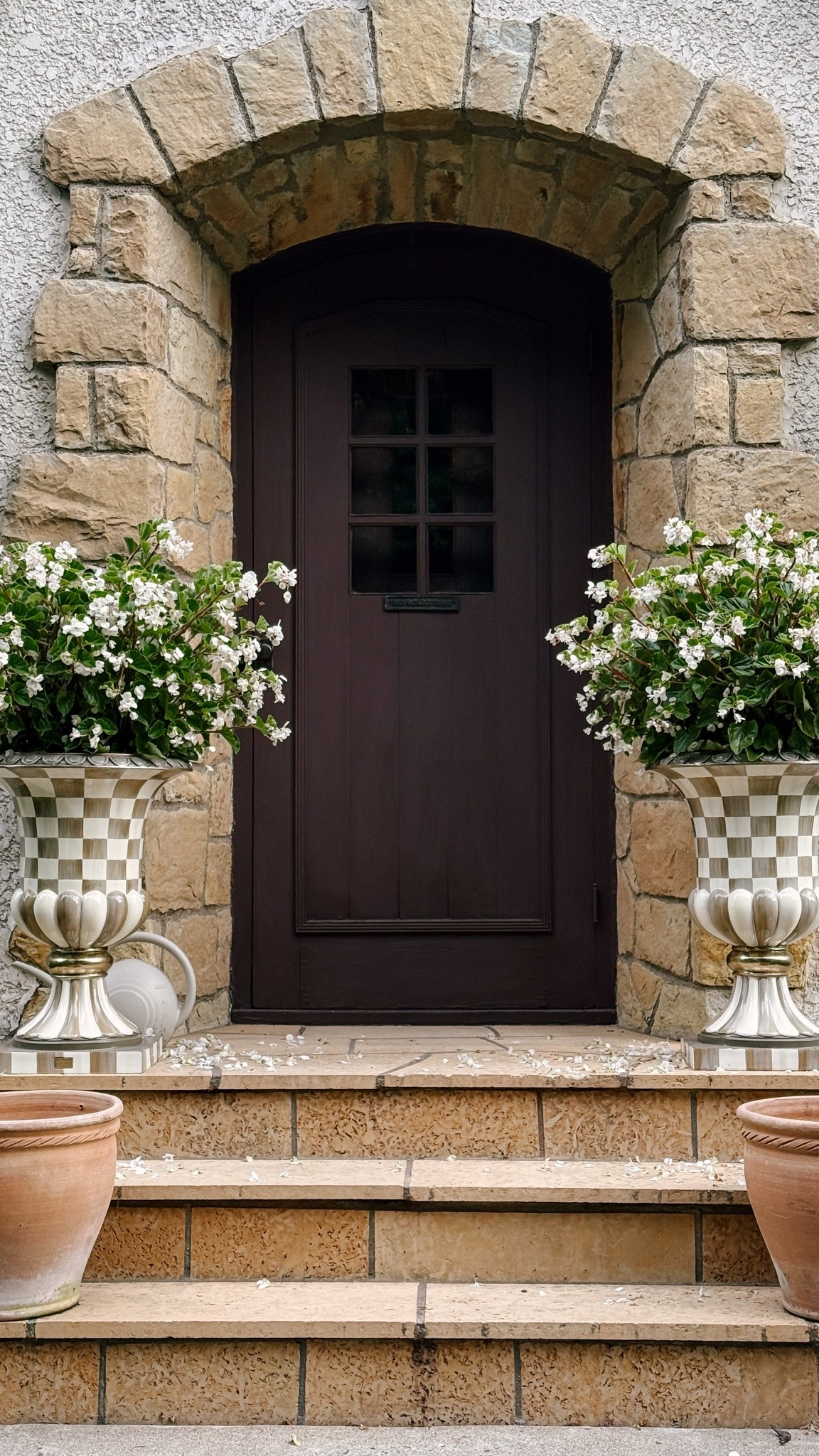 my checkered planters making a big statement with these begonias 😍

#LTKHome