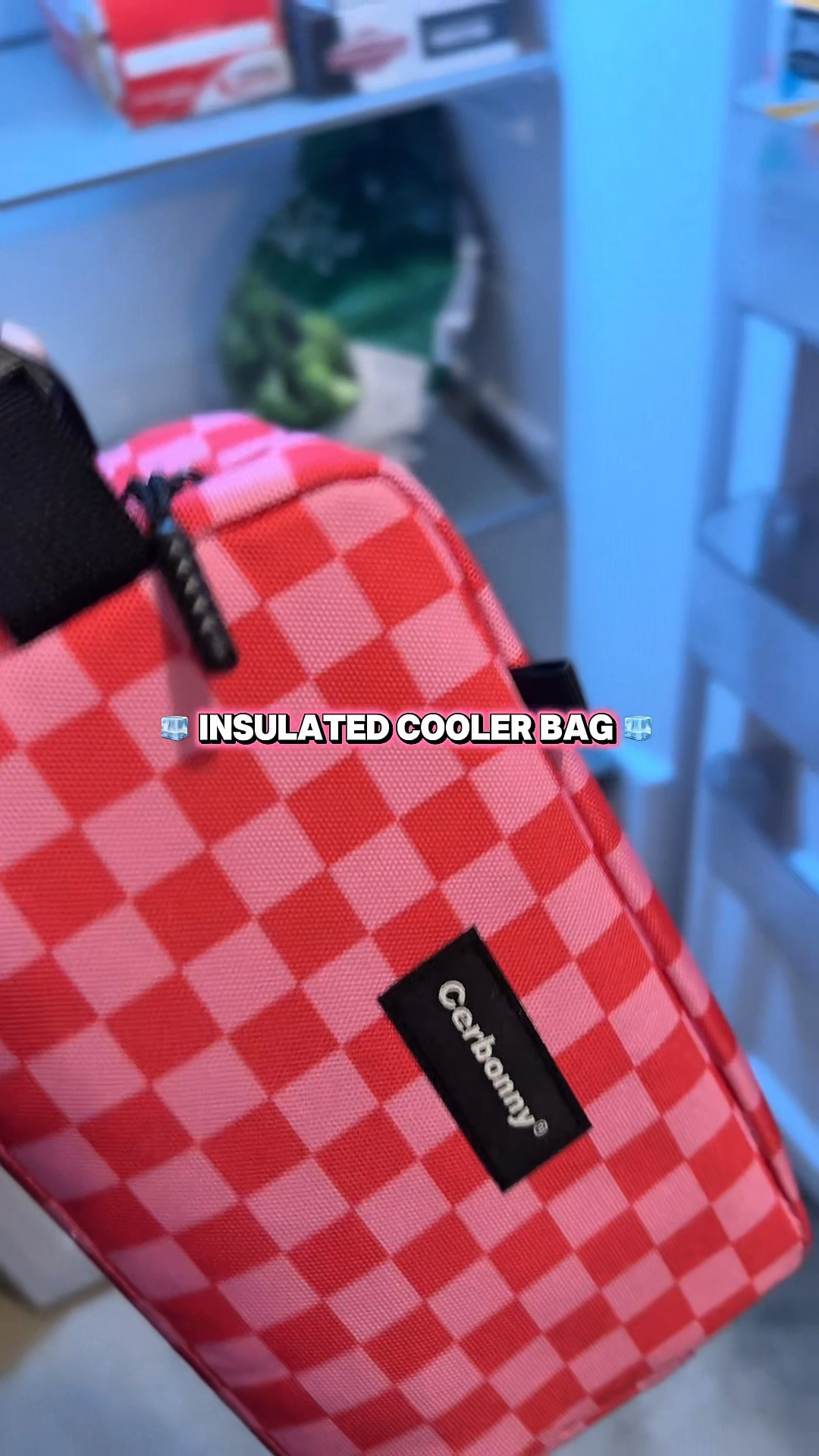 Mini Cooler Freezable Bag #summercoolers #icepack #coolerbag #summermusthaves #freezerbag

#LTKmomlife