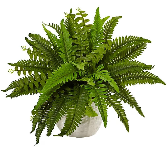 Make Your Selection: Boston Fern in White Planter by Nearly Natural | QVC