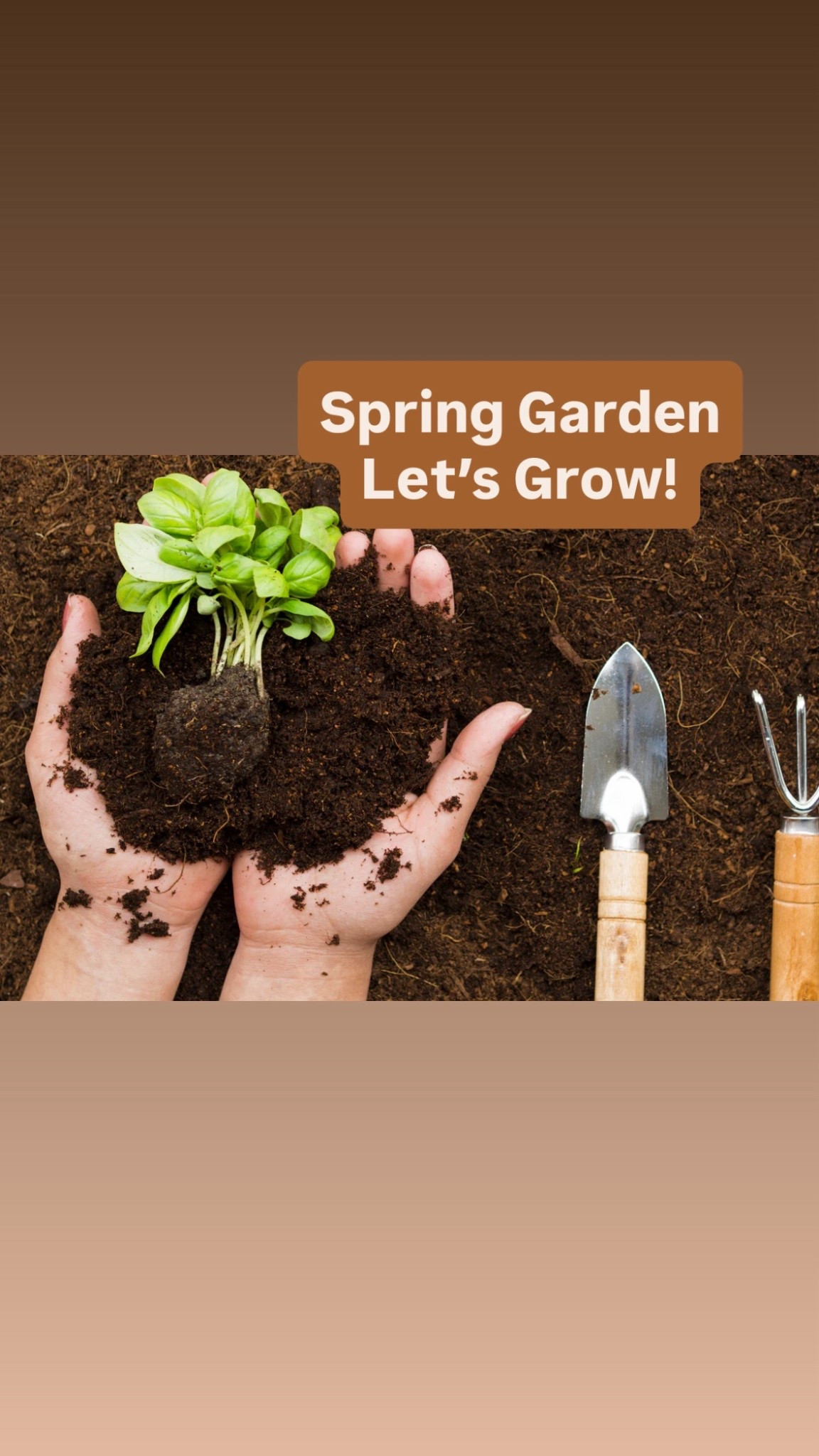 Bring your imaginary garden to life! A little planning, some tools and seeds, and you’ll be blooming in no time! #garden #spring #plants #family #hobby #outdoors #backyard #patio #sale #marthastewart 

#LTKHome #LTKSeasonal