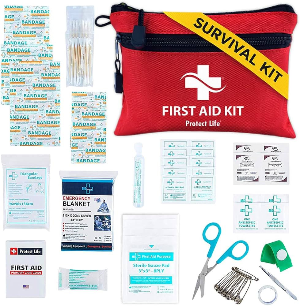 Protect Life Survival First Aid Kit for Home/Business, Camping Survival Kits | Mini Travel First ... | Amazon (US)