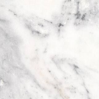STONEMARK 3 in. x 3 in. Marble Countertop Sample in Arabescus Carrara Marble-P-RSL-ABSCRA-3X3 - T... | The Home Depot
