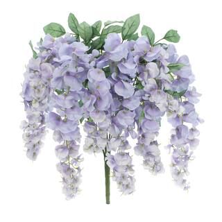 Purple Wisteria Bush by Ashland® | Michaels Stores