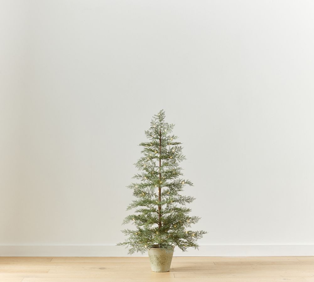 Faux Potted Cedar Trees | Pottery Barn (US)