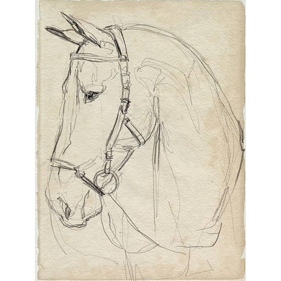 ArtDirect Horse in Bridle Sketch II 8x10 UnFramed Art Print Poster Ready for Framing by Parker, J... | Amazon (US)