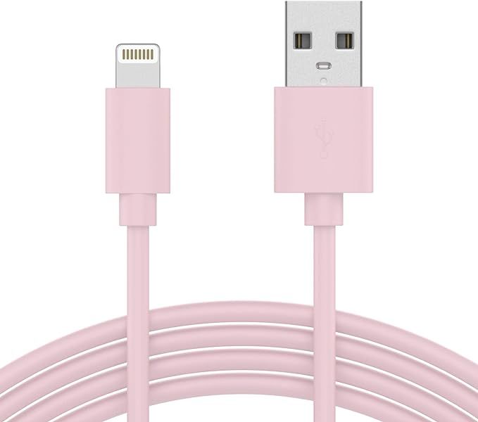 TalkWorks iPhone Charger Lightning Cable 10ft Long Heavy Duty Cord MFI Certified for Apple iPhone... | Amazon (US)