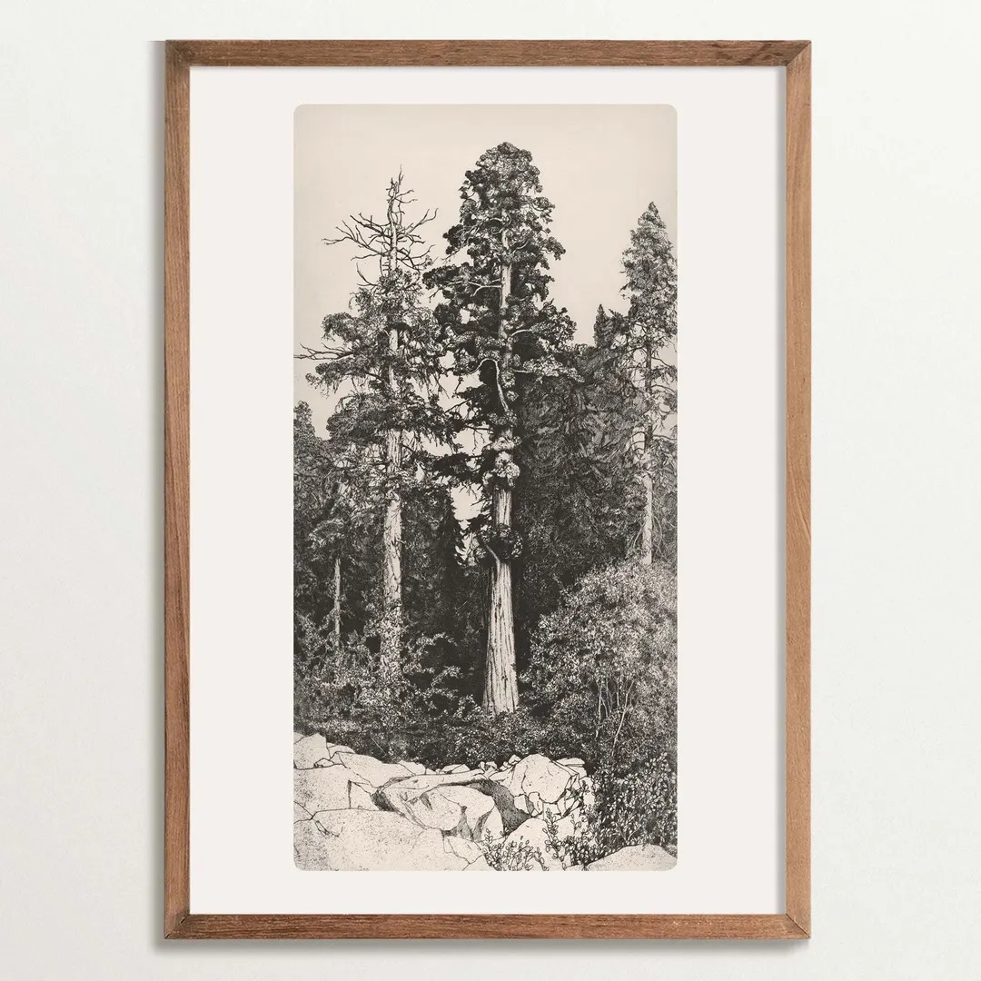 Vintage Tree Sketch Art Print, Cottagecore Decor, Rustic Tree Etching, Nature-Inspired Home Decor | Etsy (US)