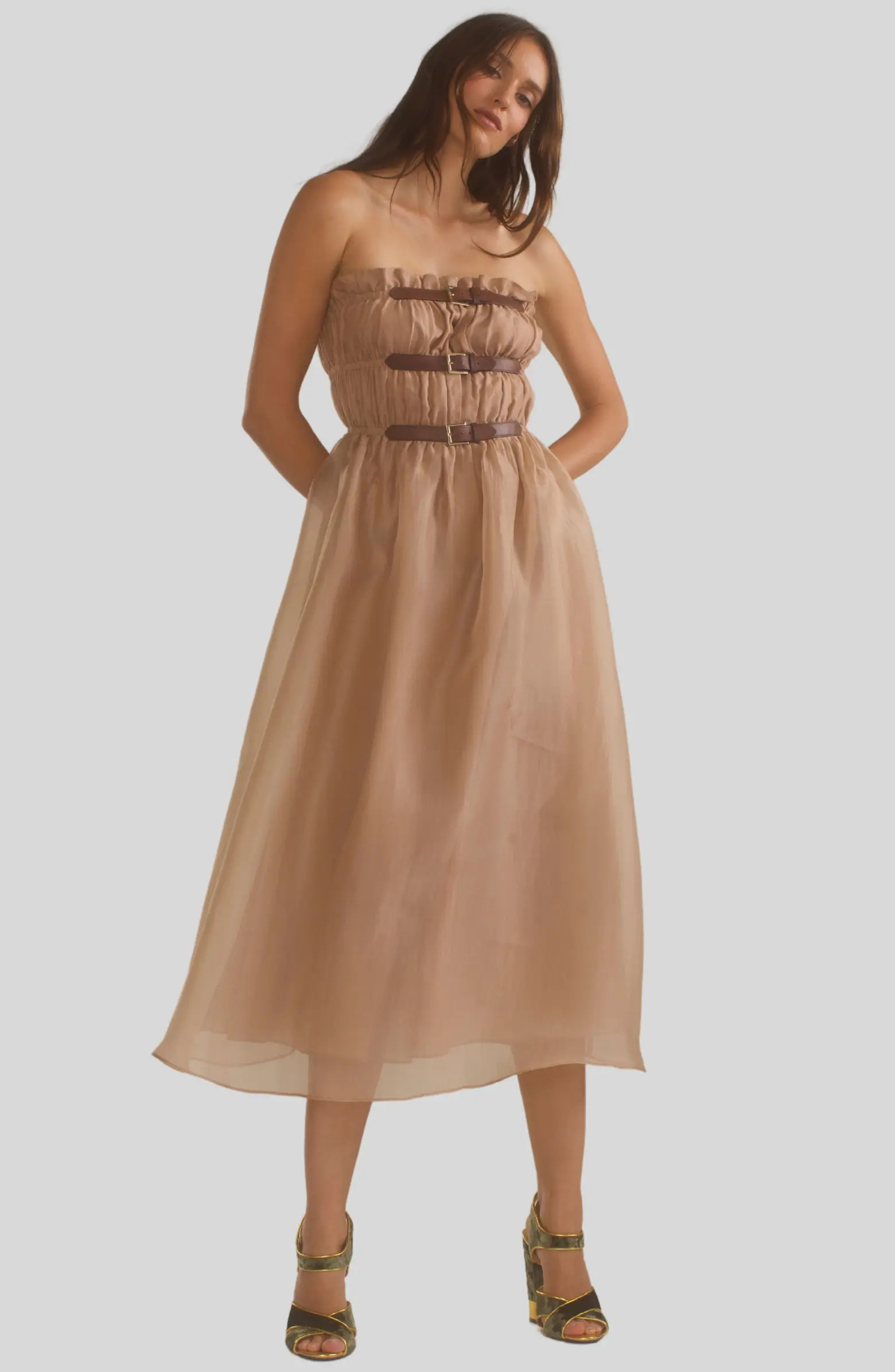Buckle Up Silk Organza Dress | Nordstrom