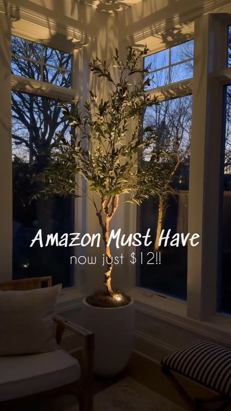 Obsessed with this Amazon home find!! Looks amazing with my favorite faux olive tree that's also from Amazon! The accent light is only $12 and is such a cozy vibe at night!!  ✨
(5/23)

#LTKVideo #LTKStyleTip #LTKHome