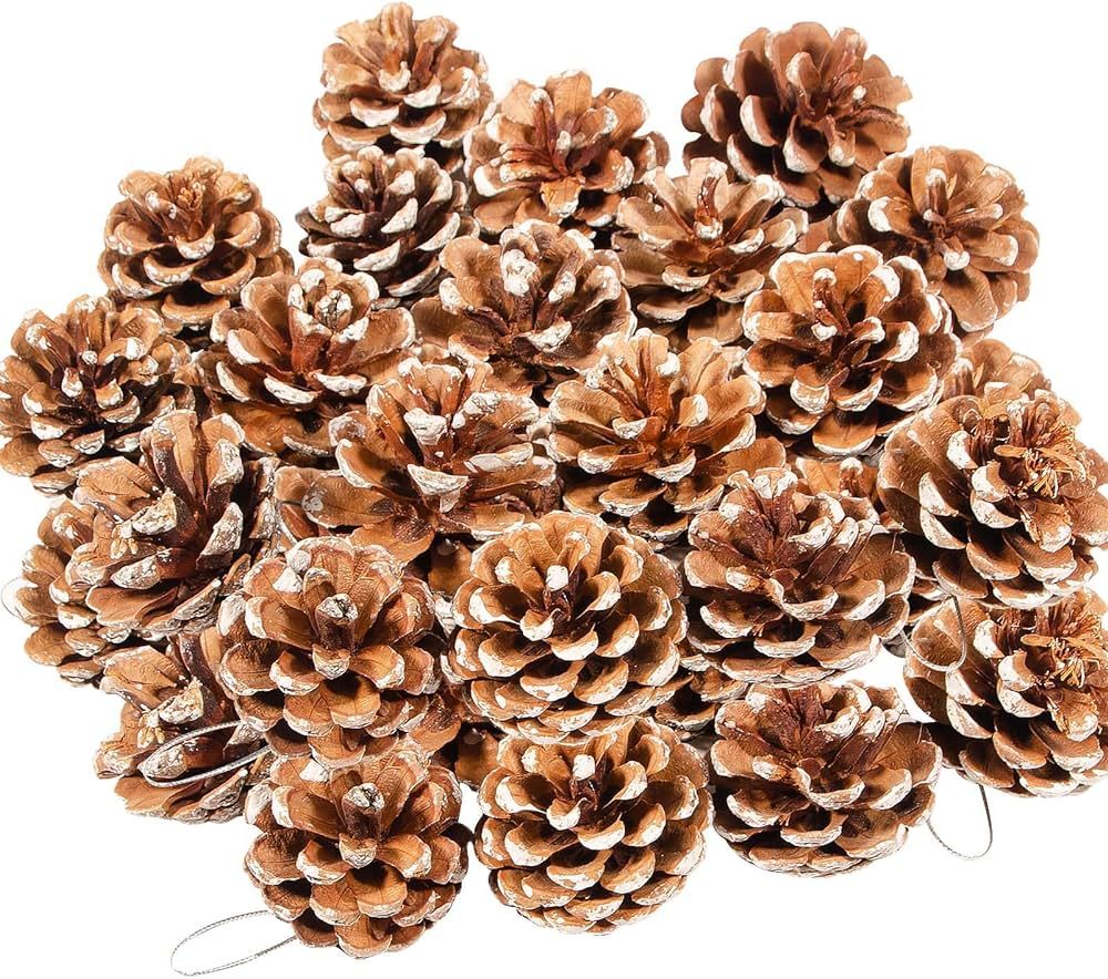 24 Pcs Natural Pine Cones Christmas Rustic Pine Cones Bulk Ornaments with String for Xmas Thanksg... | Amazon (US)