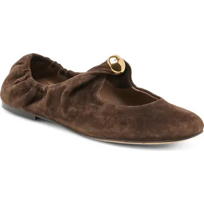 Dolce Vita Cornel Mary Jane Flat in Dark Brown Suede at Nordstrom, Size 10 | Nordstrom