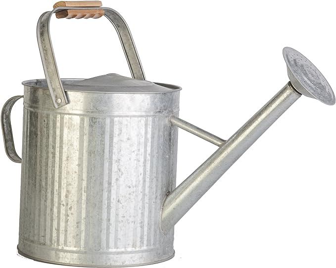 2 Gallon Vintage Galvanized Watering Can with Wood Handle | Amazon (CA)