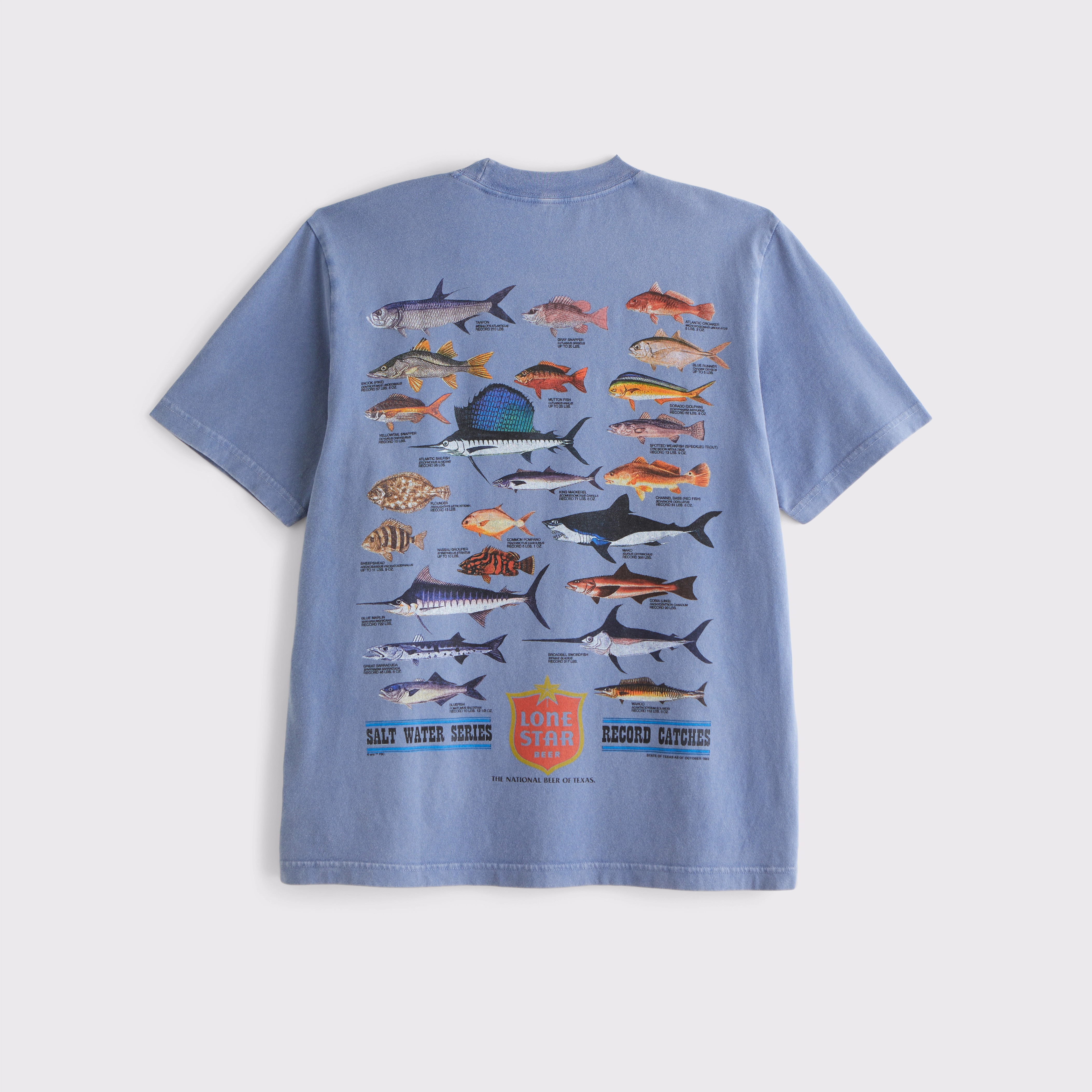 Lone Star Beer Vintage-Inspired Graphic Tee | Abercrombie & Fitch (US)