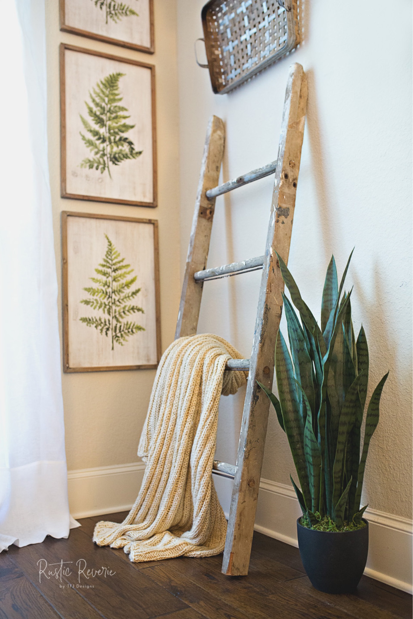 Throwing it back to my formal living room a couple years ago. 🪴 While everything else has changed, I still absolutely love this Faux Snake Plant! 

#fauxplant #fakeplant #nearlynatural 

#LTKhome