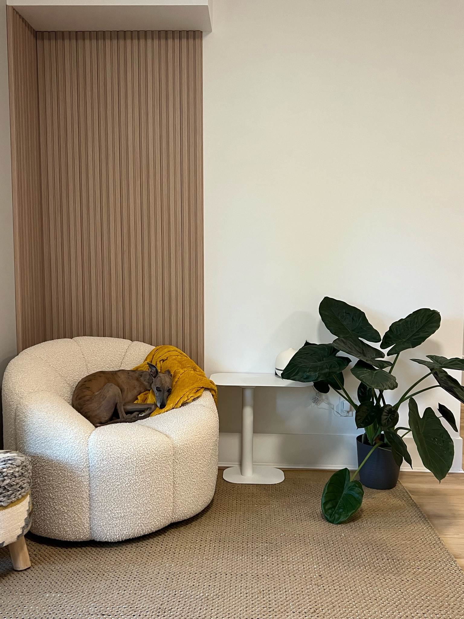 Another project done in the home office. It’s slowly starting to come together!

The paint and panels are from Home Depot. There are some differences between the Canadian and US store so the links aren’t quite the same. The panels are oak and glue on so you can likely find them much cheaper than the ones linked. 

https://www.homedepot.ca/product/murdesign-square-fluted-wall-panels-96-inch-x-4-75-inch-in-oak-pack-of-4-/1001705978

I’m loving the BEHR paint! We’re using whisper white on this wall. 

The chair is unfortunately sold out but I found it and a bunch of other great furniture on Wayfair!


#LTKhome