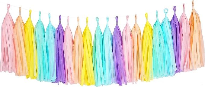 Tissue Paper Tassel DIY Party Garland Decor for All Events & Occasions - 20 Tassels Per Package (... | Amazon (US)