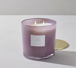 Pink Jasmine Scent Collection | Pottery Barn (US)