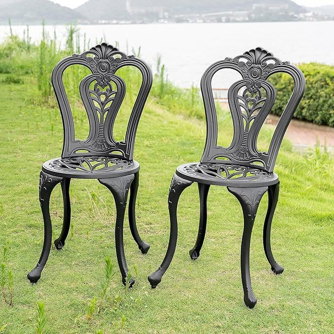 NUU GARDEN Cast Aluminum Patio Chairs All Weather Outdoor Dining Chairs Set of 2 Indoor Outdoor B... | Amazon (US)