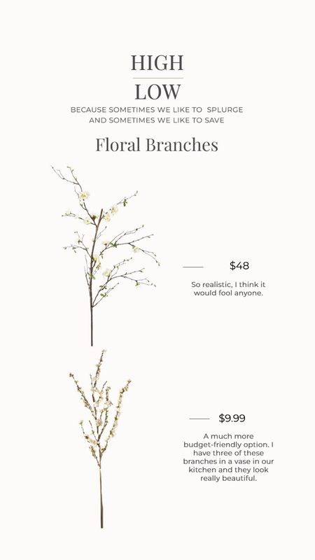 High Low: Spring floral branches with realistic stems and beautiful silk flowers.


#LTKhome #LTKFind #LTKunder50