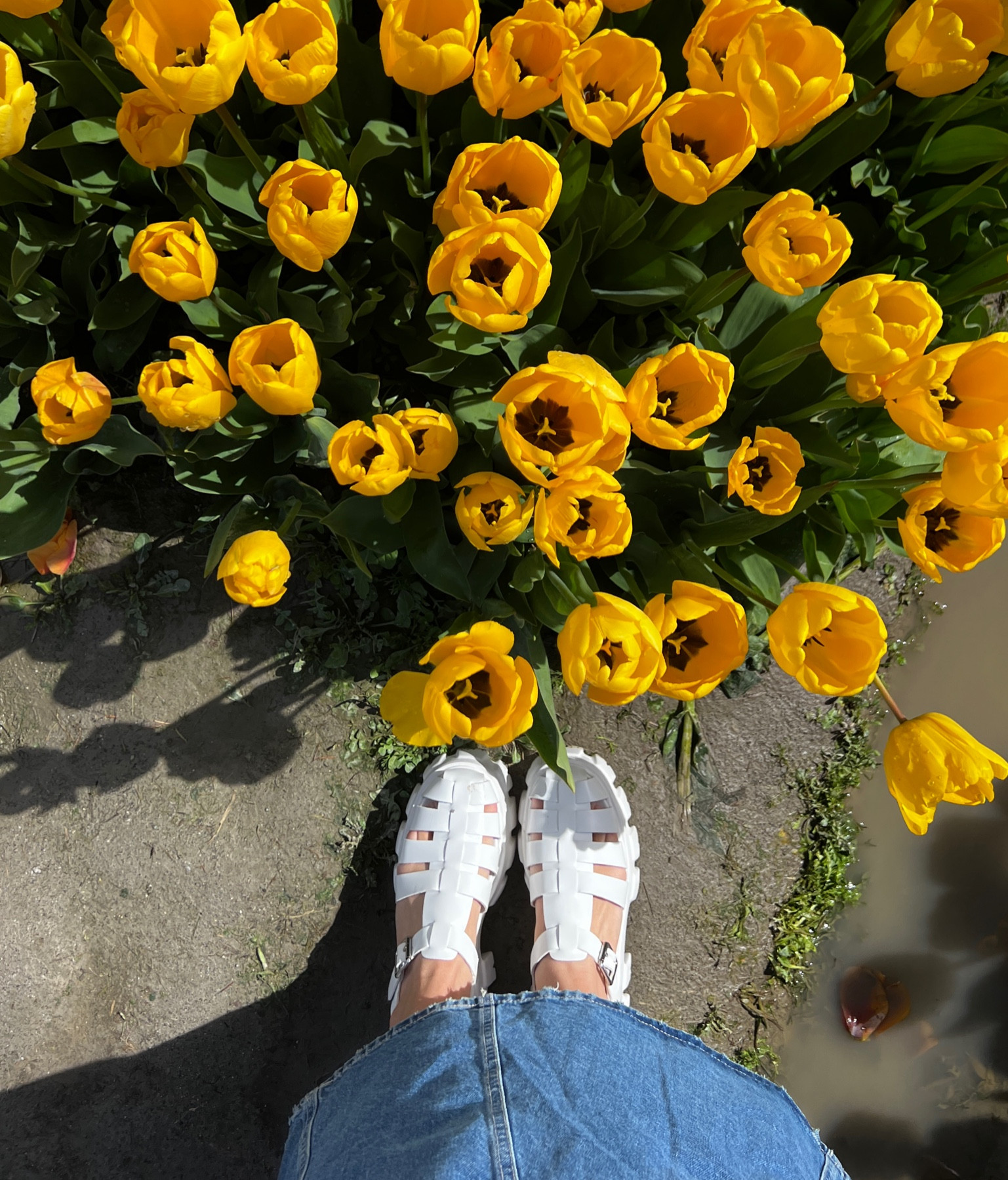 LOVING these fisherman sandals!! Wore them through tulip fields, outlets, and costco and they were SO comfortable!! 

#LTKshoecrush #LTKFind #LTKSeasonal