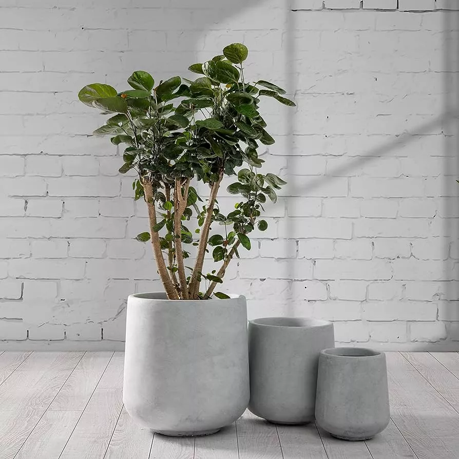 LE TAUCI Large Plant Pots Set, 10/8/6 Inch Ceramic Planters for