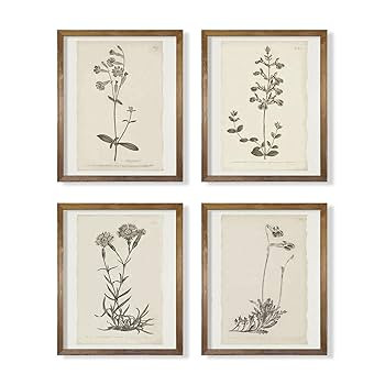 Vintage Botanical Plant Wall Art Prints - Neutral Minimalist Flower Posters Picture for Bedroom, ... | Amazon (US)
