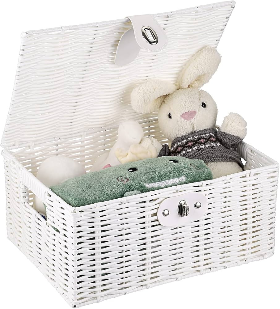 Hipiwe Woven Storage Basket Bins with Lid & Lock Handles - Rectangular White Plastic Storage Box ... | Amazon (US)