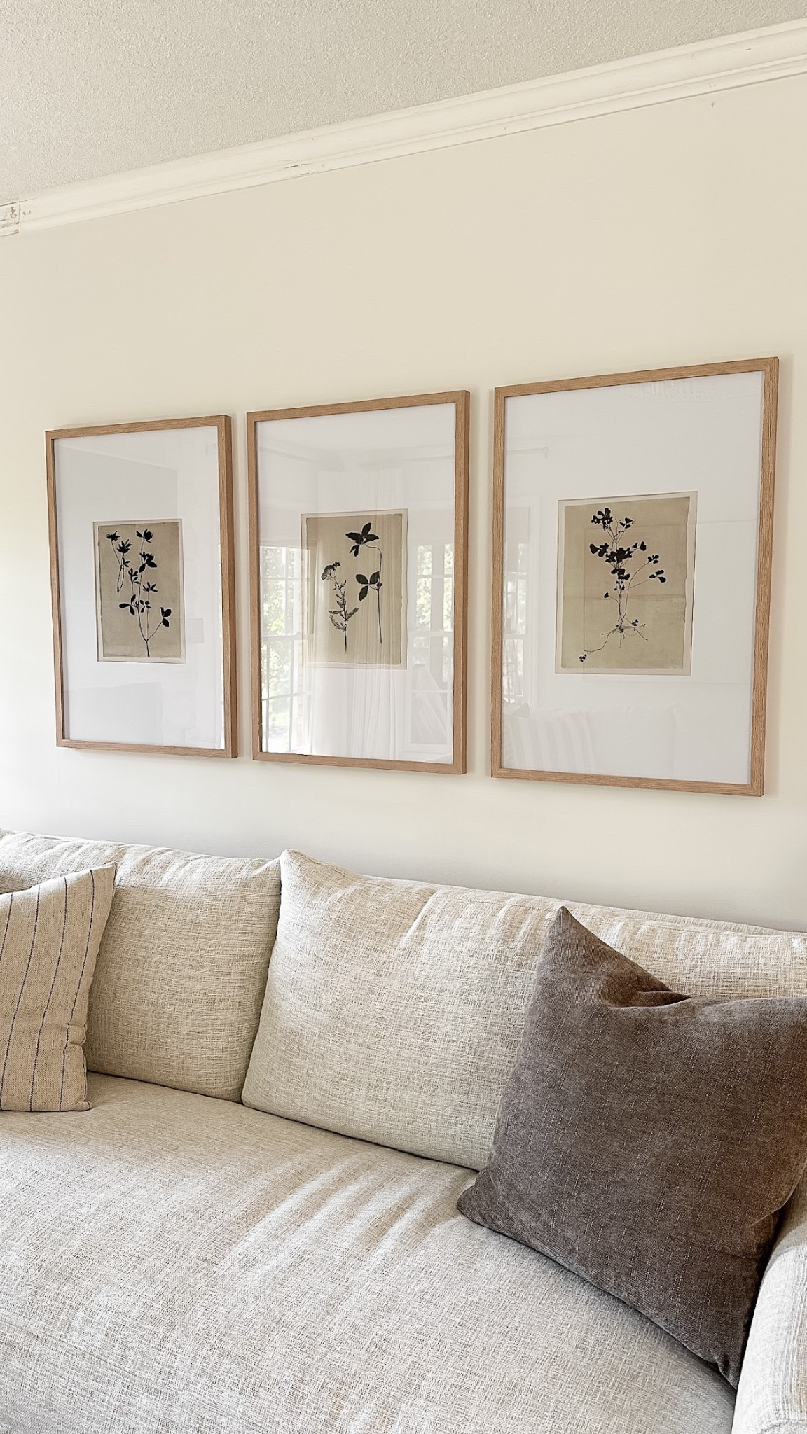 Living room wall art, large frames, gallery frames, set of 3 floral botanical modern prints 

#LTKHome